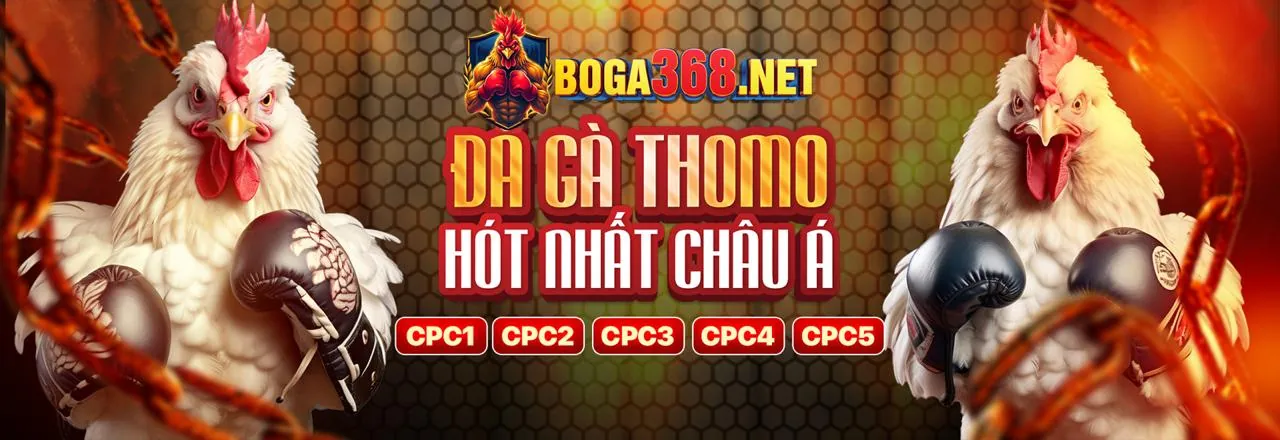 Đá Gà Sunwin Link Mới 2026